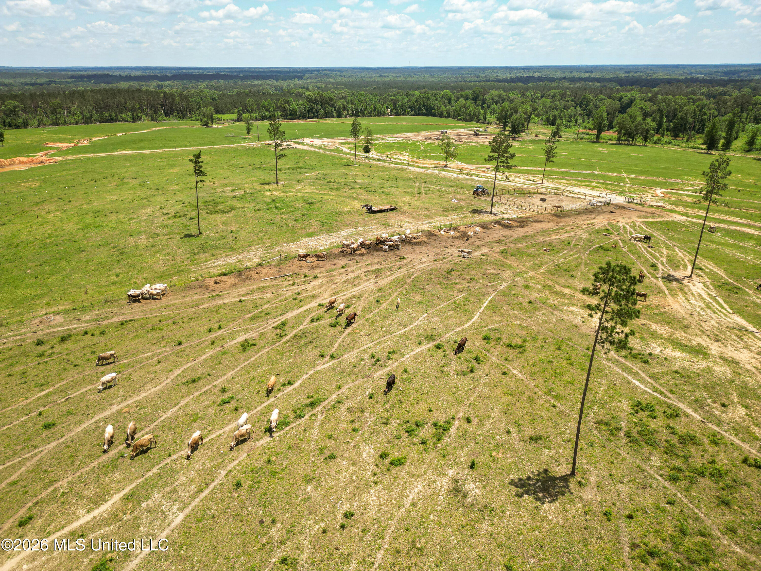 Southeast Gleenwood Road Southeast Ruth, MS 39662 - Photo 13 of 24 DJI_0559