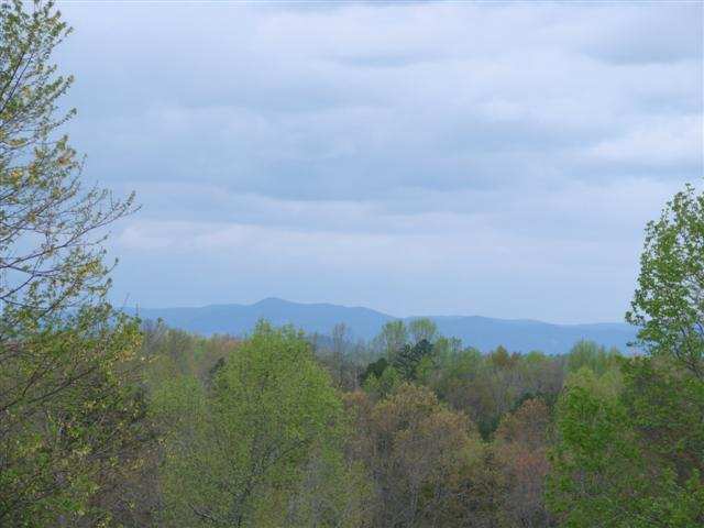129 Rochester Road Easley, SC 29640 - Photo 3 of 11 Gallery Image 3