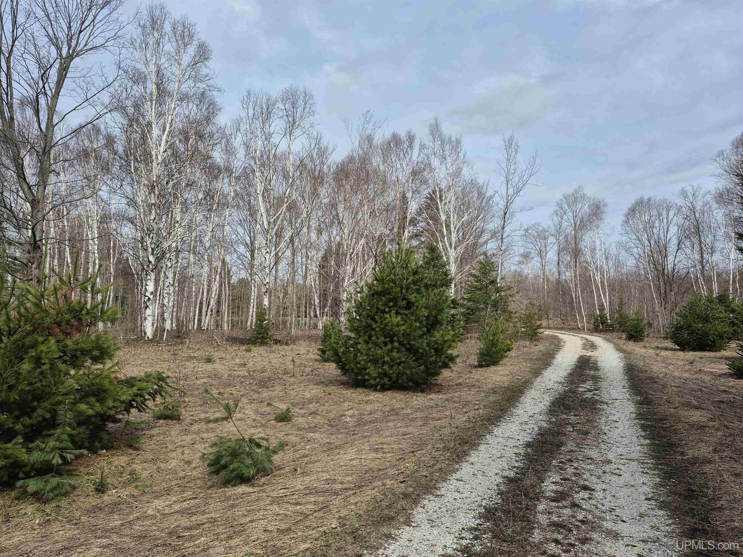 3754 Quarry Road Gulliver, MI 49840 - Photo 23 of 77