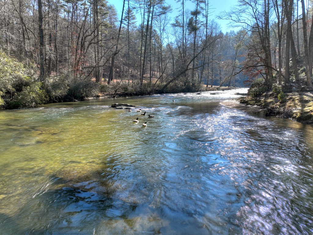 1312 Hicks Ford Road Ellijay, GA 30540 - Photo 63 of 95 Close up of the mountain views from the cabin
