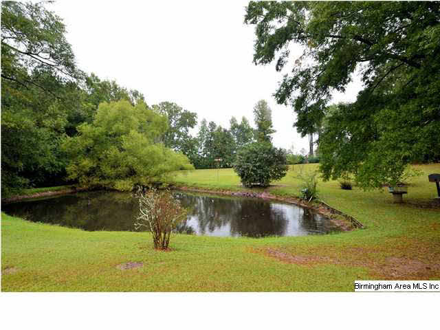 124 Mooney Road Columbiana, AL 35051 - Photo 28 of 31