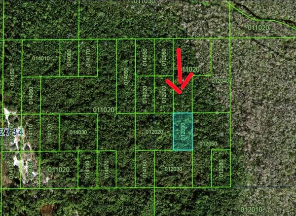 $11,000 | Tbd Unincorporated, Kissimmee, FL 34759