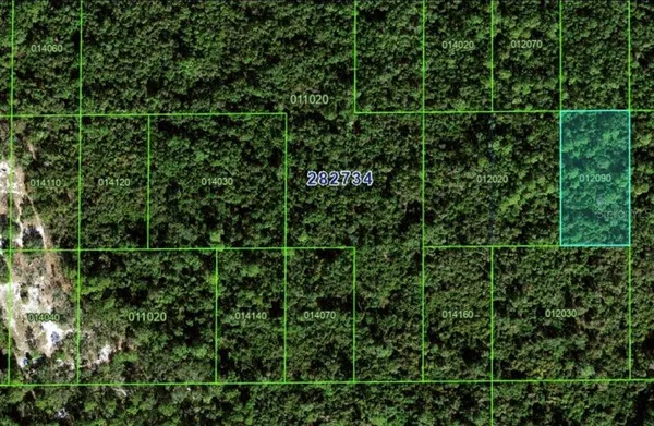 $11,000 | Tbd Unincorporated, Kissimmee, FL 34759