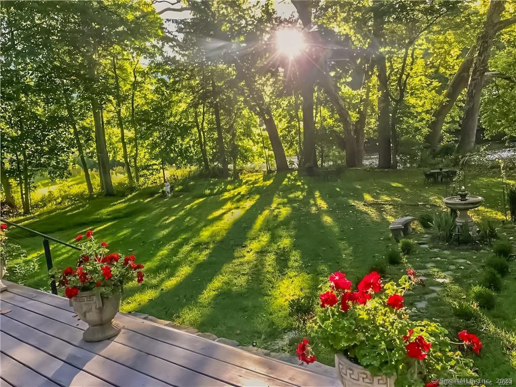 47 Johnson Road Kent, CT 06757 - Photo 37 of 40 a view of a flowers in a yard