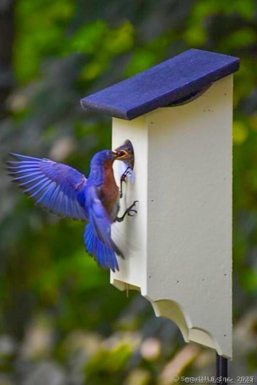 47 Johnson Road Kent, CT 06757 - Photo 39 of 40