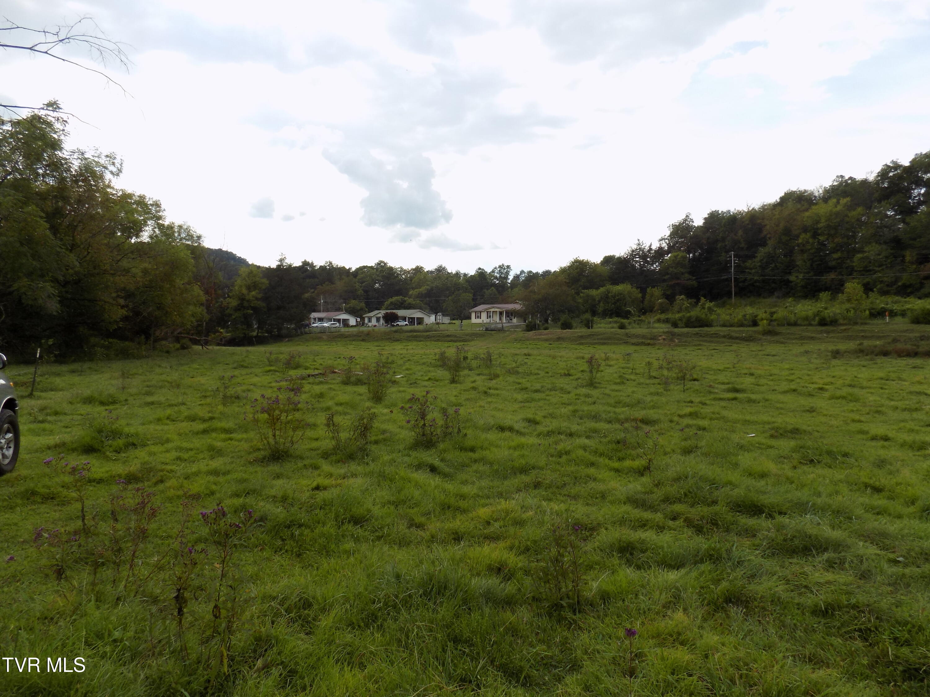 Tbd Back Valley Road Sneedville, TN 37869 - Photo 11 of 22 DSCN1418