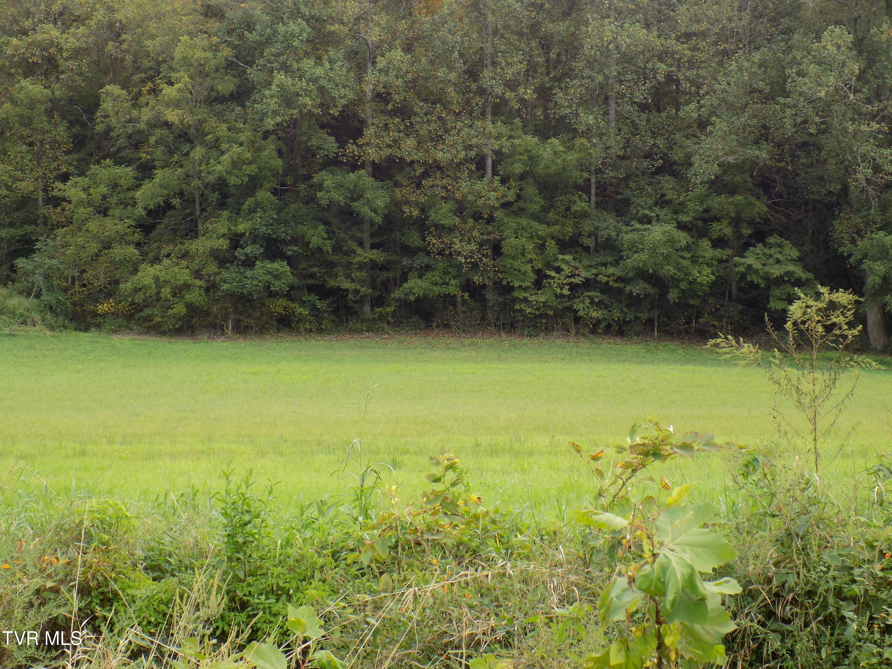Tbd Back Valley Road Sneedville, TN 37869 - Photo 12 of 22 DSCN1419