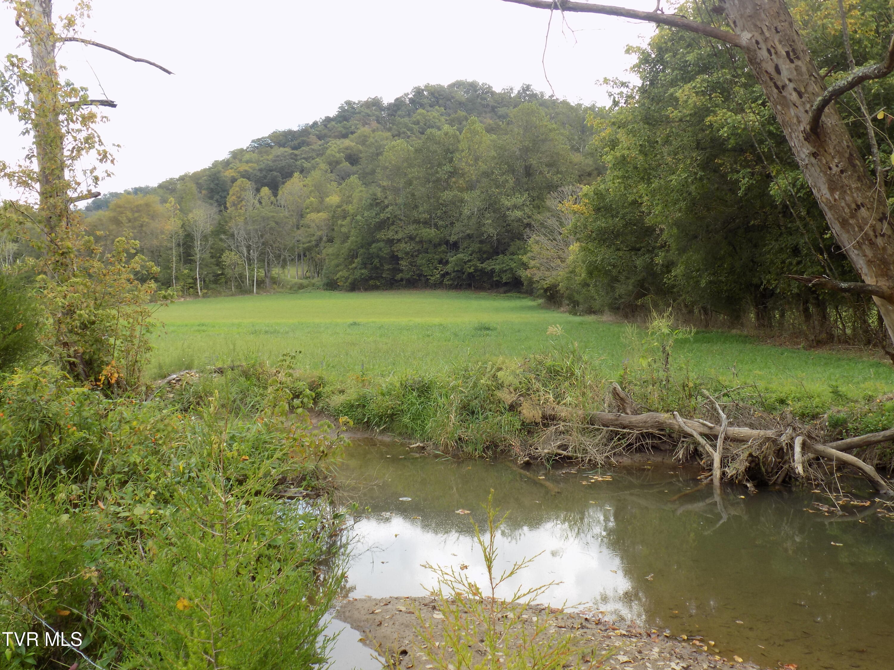 Tbd Back Valley Road Sneedville, TN 37869 - Photo 13 of 22 DSCN1420
