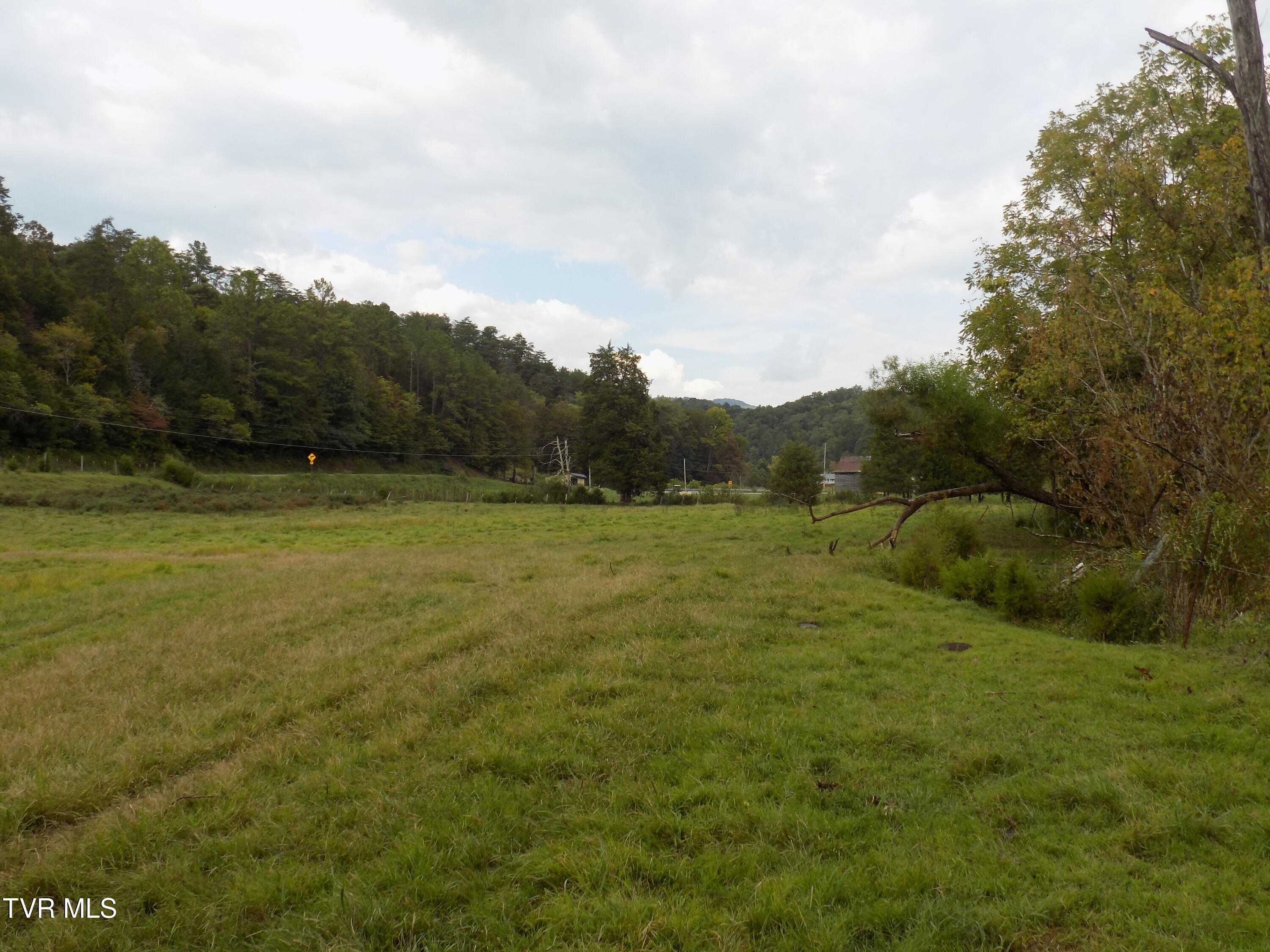 Tbd Back Valley Road Sneedville, TN 37869 - Photo 14 of 22 DSCN1421