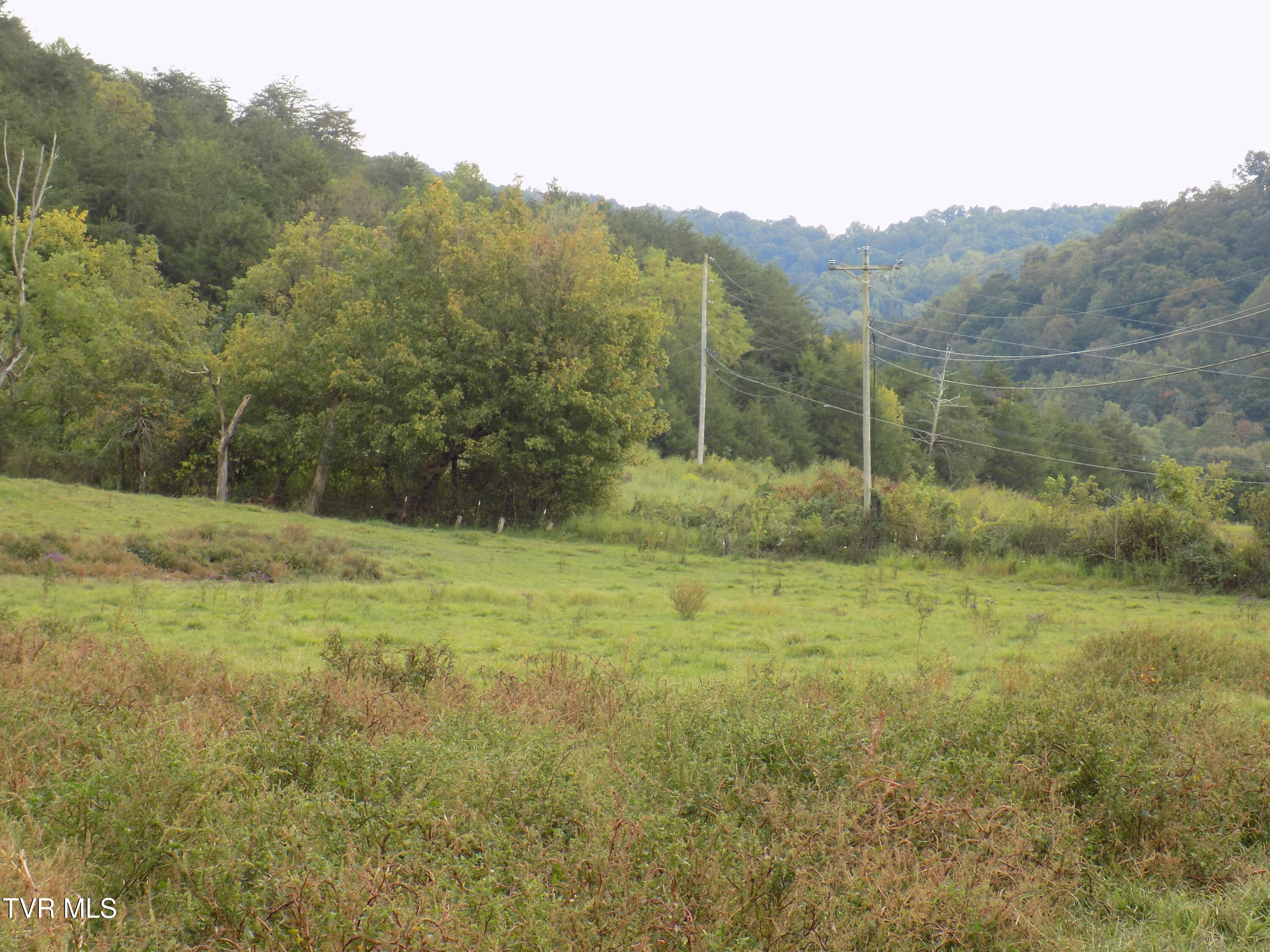 Tbd Back Valley Road Sneedville, TN 37869 - Photo 16 of 22 DSCN1423