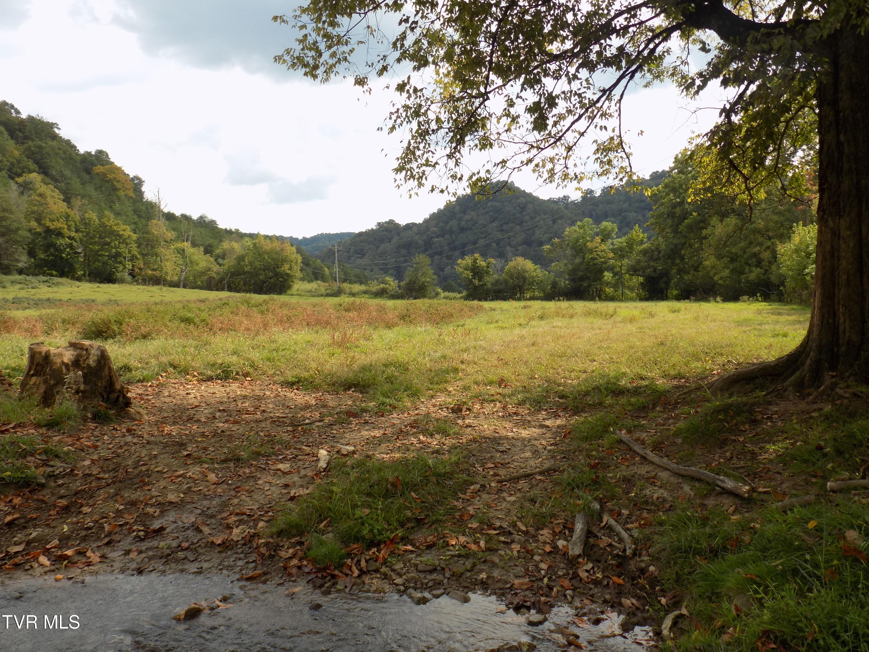 Tbd Back Valley Road Sneedville, TN 37869 - Photo 21 of 22 DSCN1428