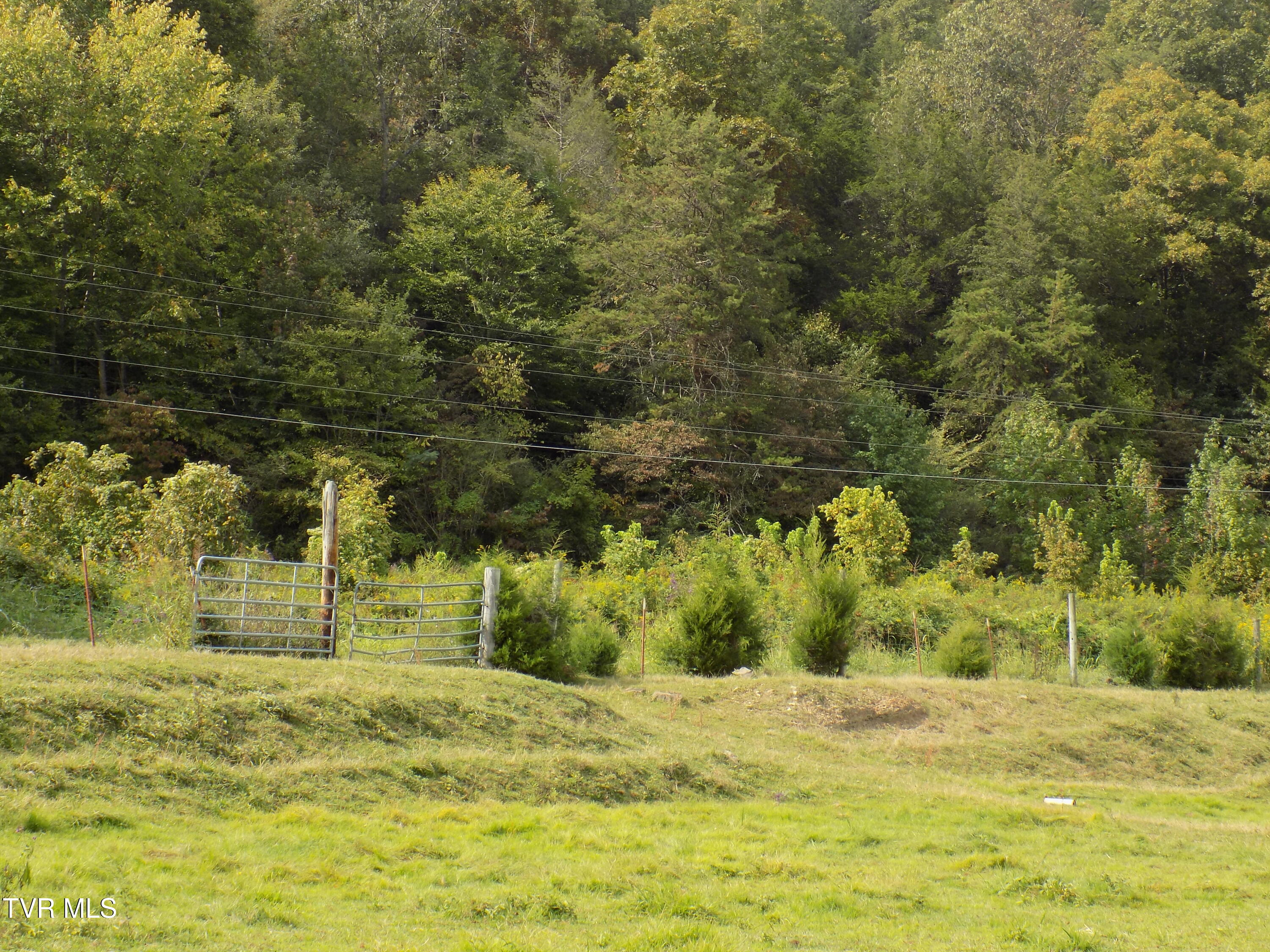 Tbd Back Valley Road Sneedville, TN 37869 - Photo 22 of 22 DSCN1429