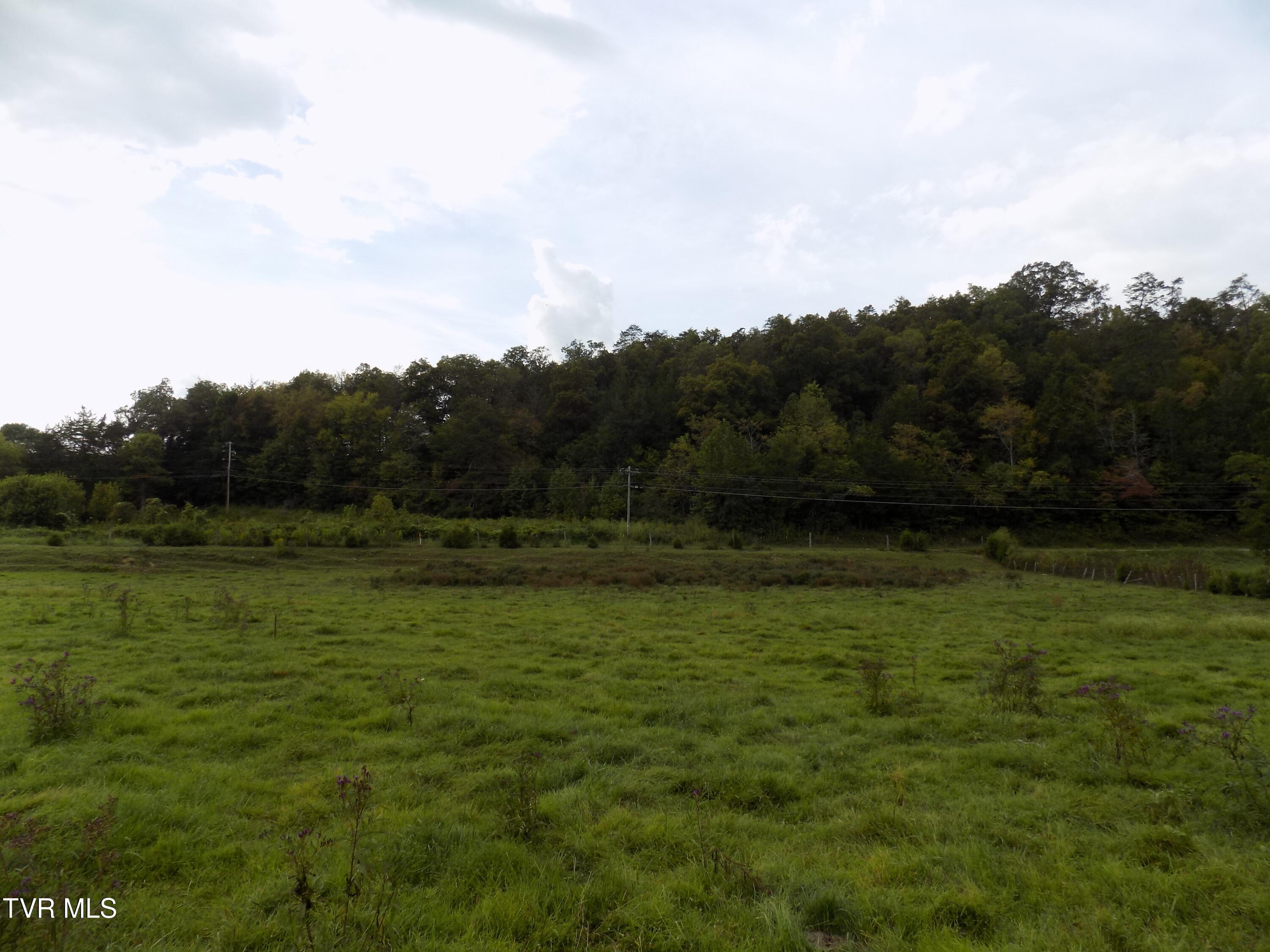 Tbd Back Valley Road Sneedville, TN 37869 - Photo 10 of 22 DSCN1417