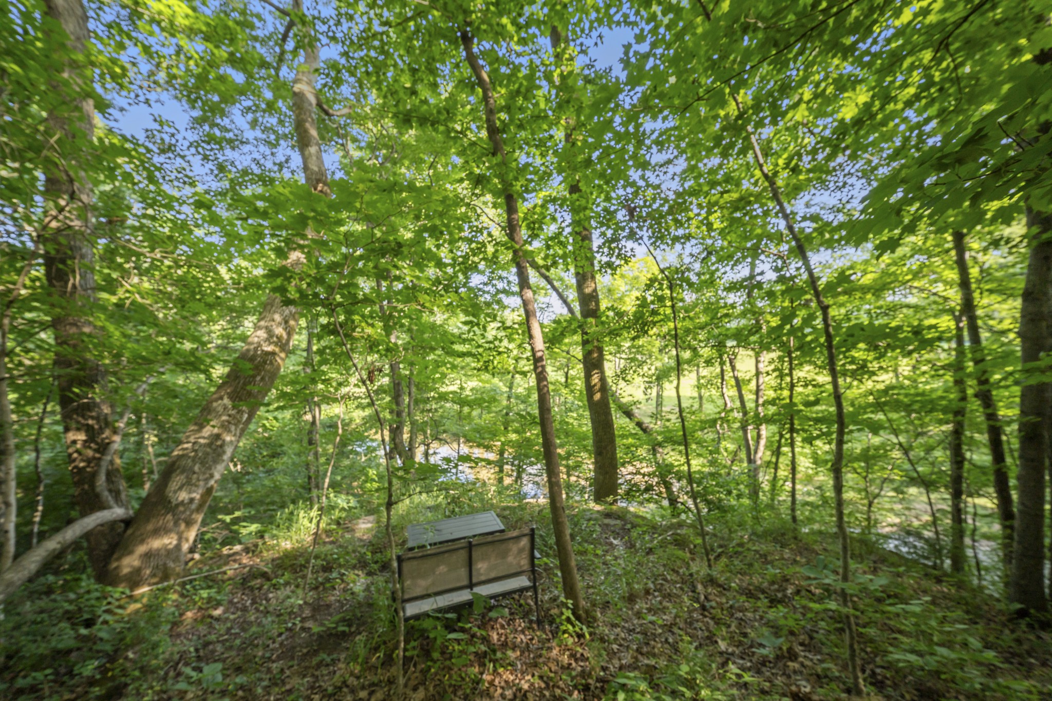 22153 Highway 49 East Springfield, TN 37172 - Photo 41 of 52