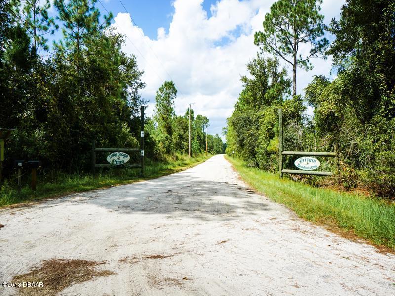 255 Old Bubbly Road Pierson, FL 32180 - Photo 27 of 29 DSC02333
