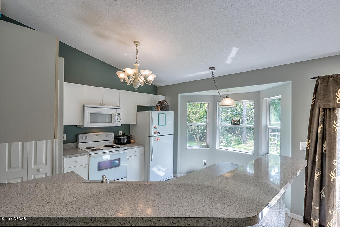 255 Old Bubbly Road Pierson, FL 32180 - Photo 8 of 29 255-19