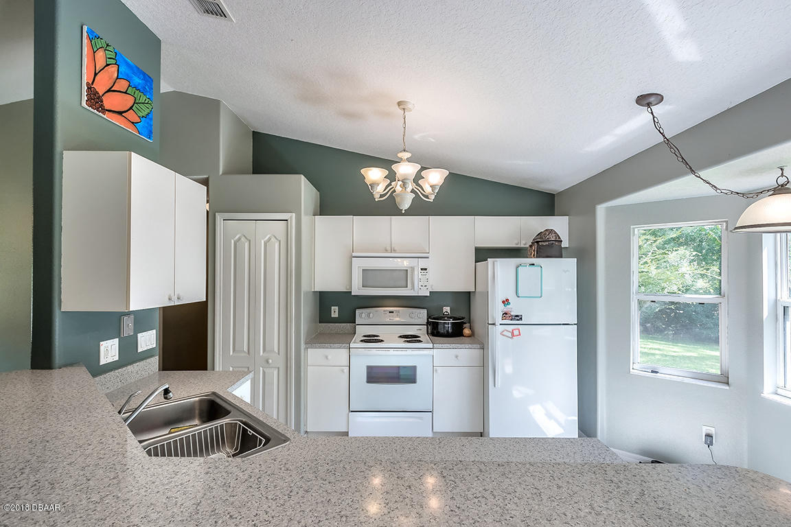 255 Old Bubbly Road Pierson, FL 32180 - Photo 9 of 29 255-20