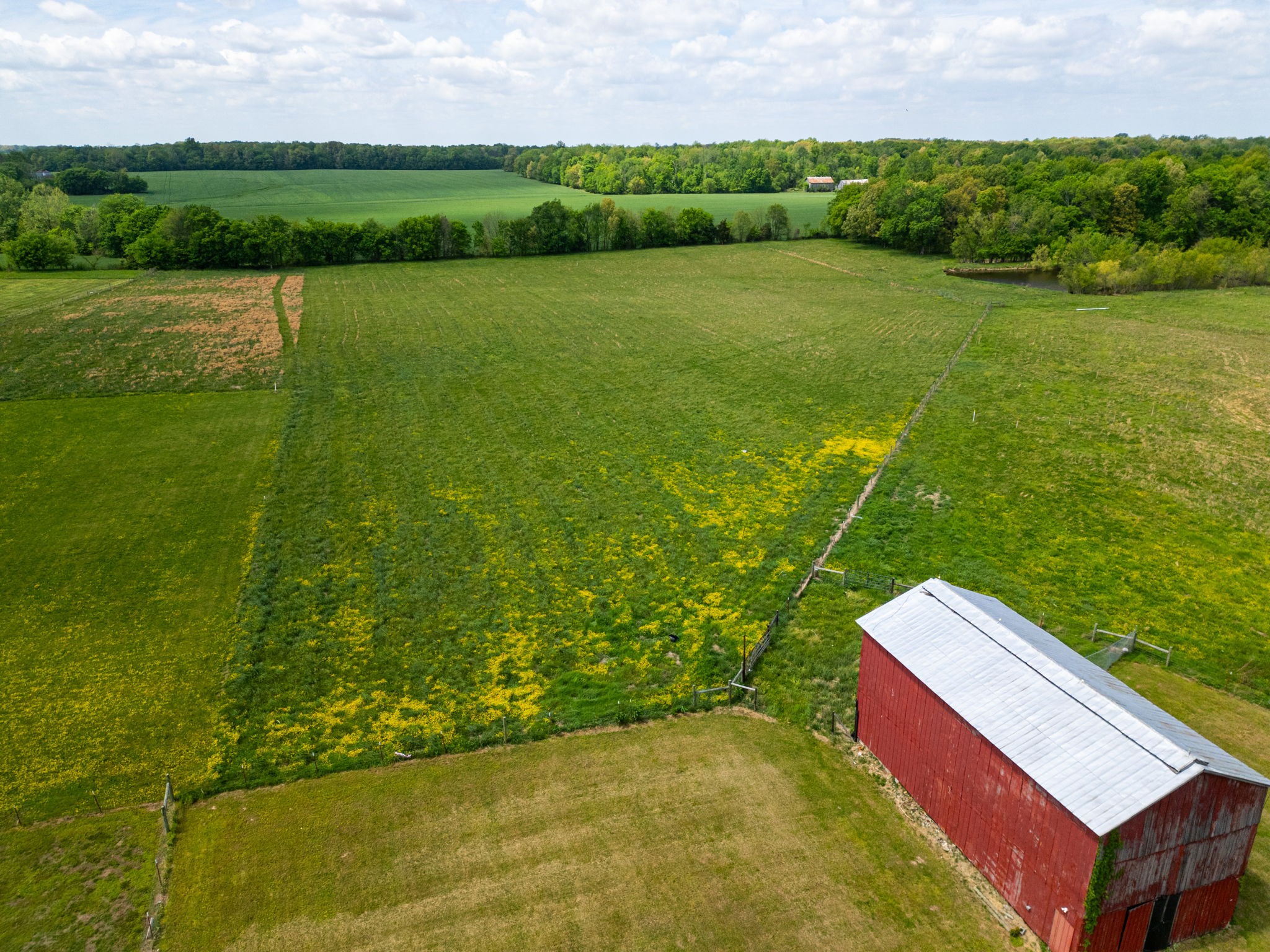 5654 Borthick Road Springfield, TN 37172 - Photo 62 of 87