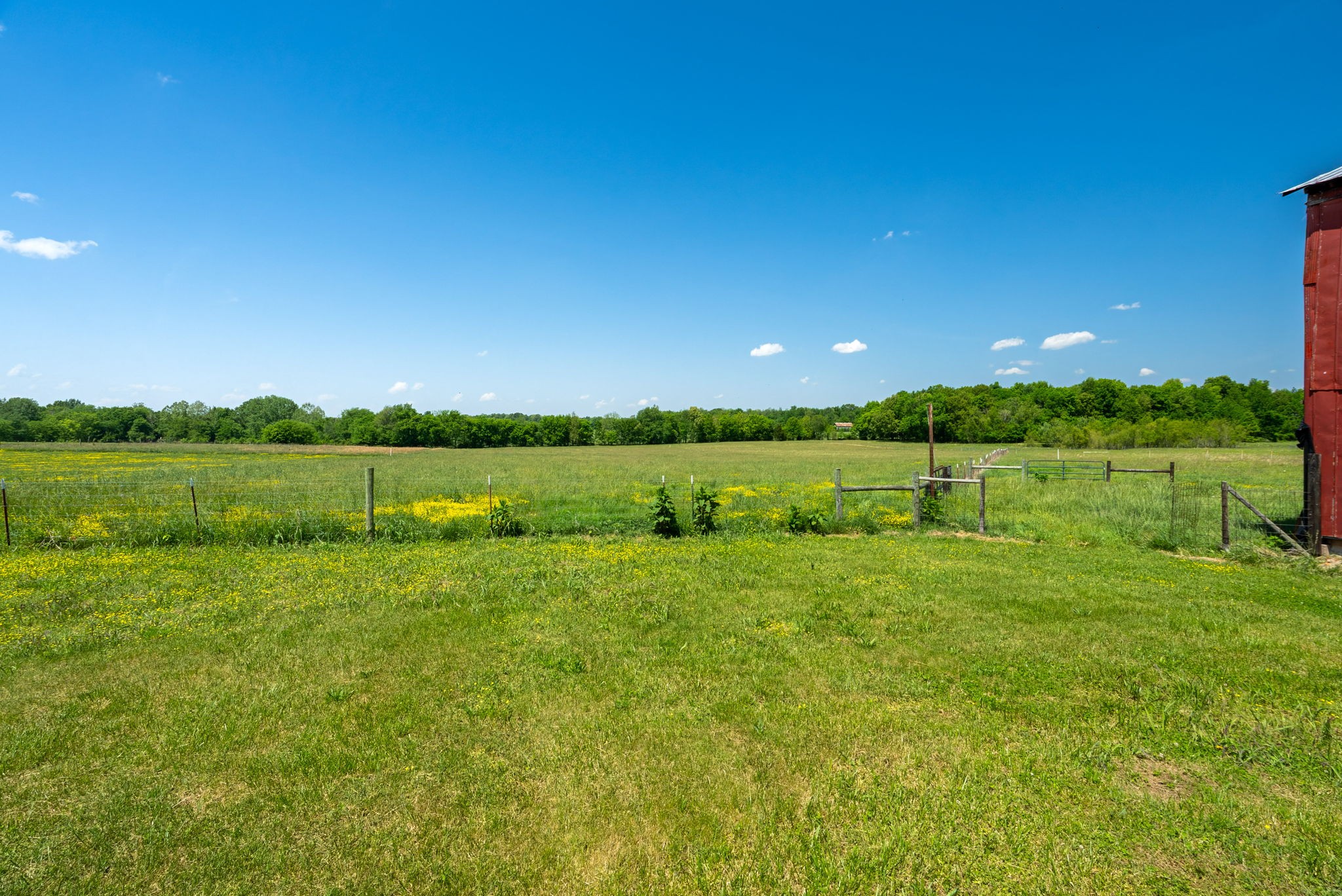 5654 Borthick Road Springfield, TN 37172 - Photo 80 of 87