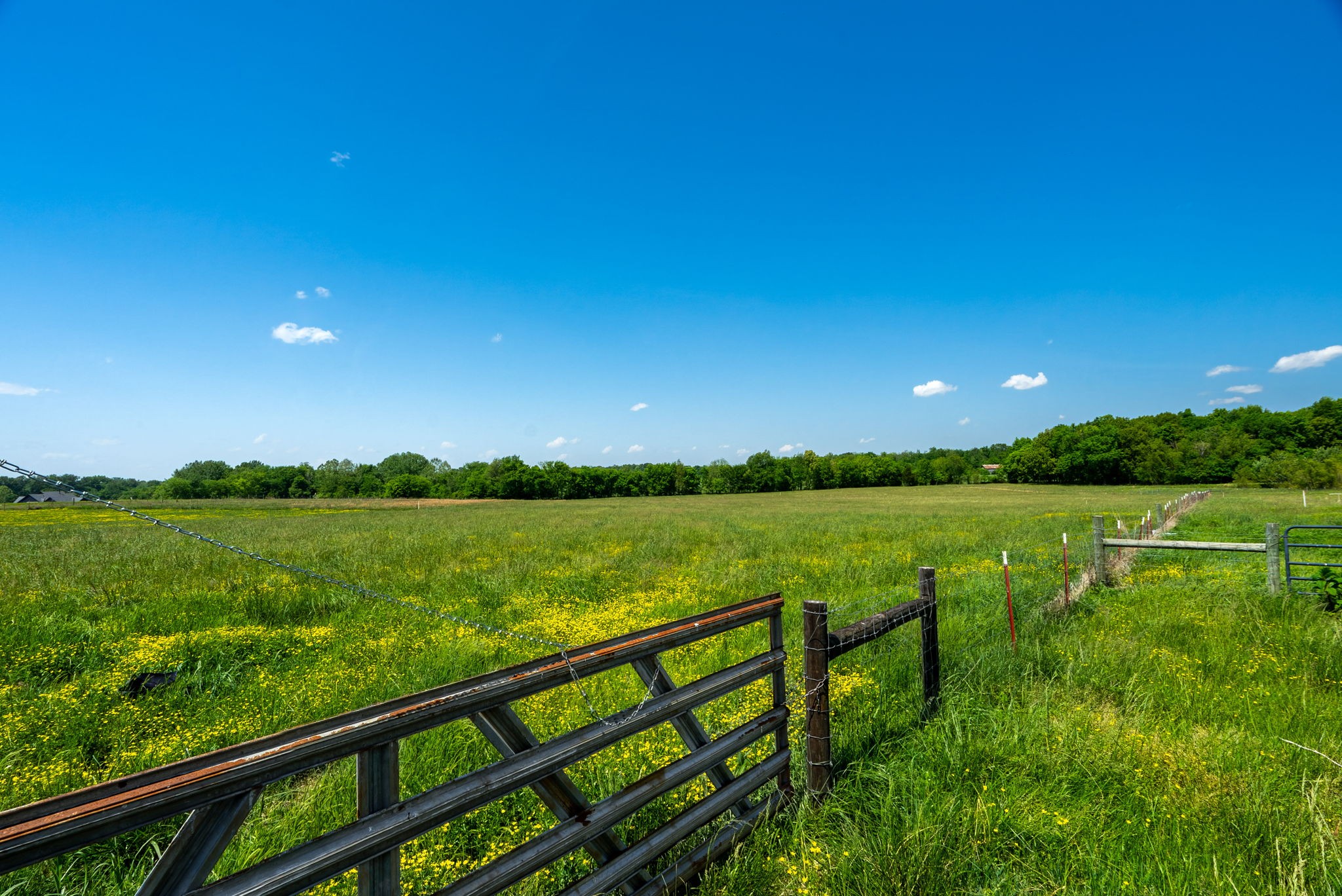 5654 Borthick Road Springfield, TN 37172 - Photo 83 of 87