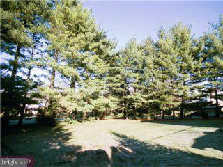 2901 Octagon Avenue Sinking Spring, PA 19608 - Photo 6 of 6 Gallery Image 6