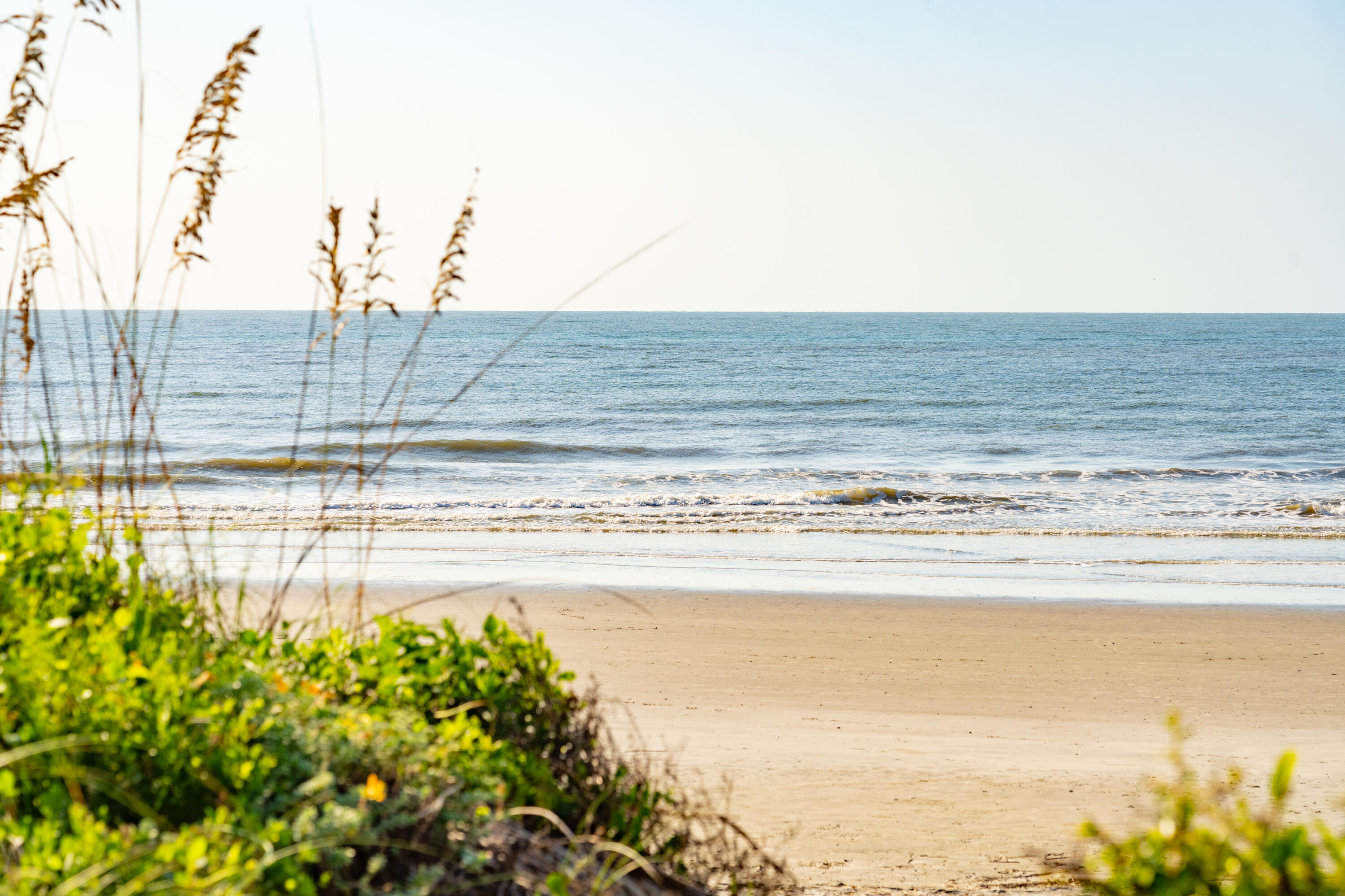 6 29th Avenue Isle of Palms, SC 29451 - Photo 50 of 62 Isle of Palms Beach