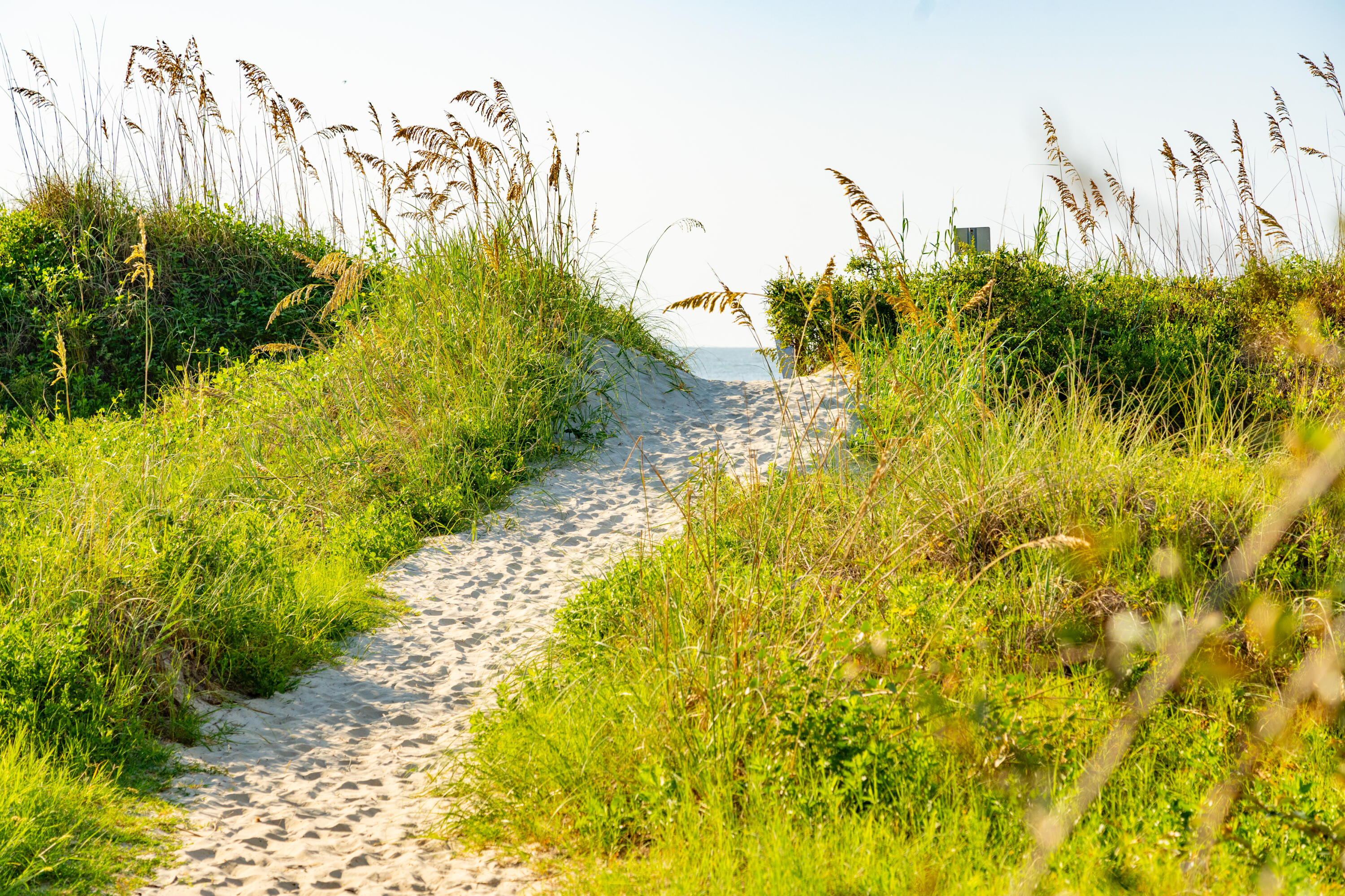 6 29th Avenue Isle of Palms, SC 29451 - Photo 62 of 67 IOP Beach Access