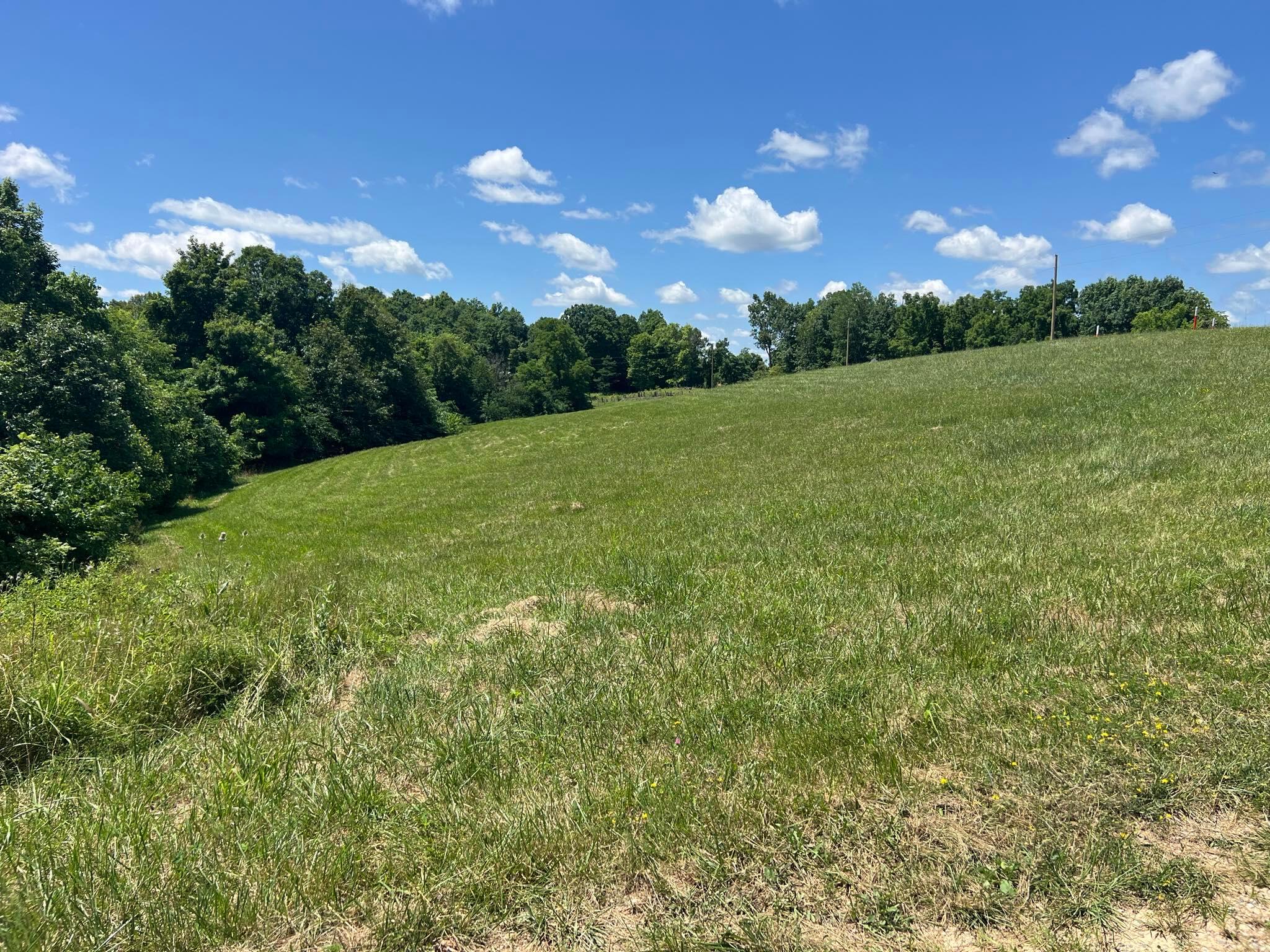 9951 Dozer Ridge Road Blue Rock, OH 43720 - Photo 2 of 14 Property View - 9951 Dozer Ridge Road, Blue Rock, OH 43720