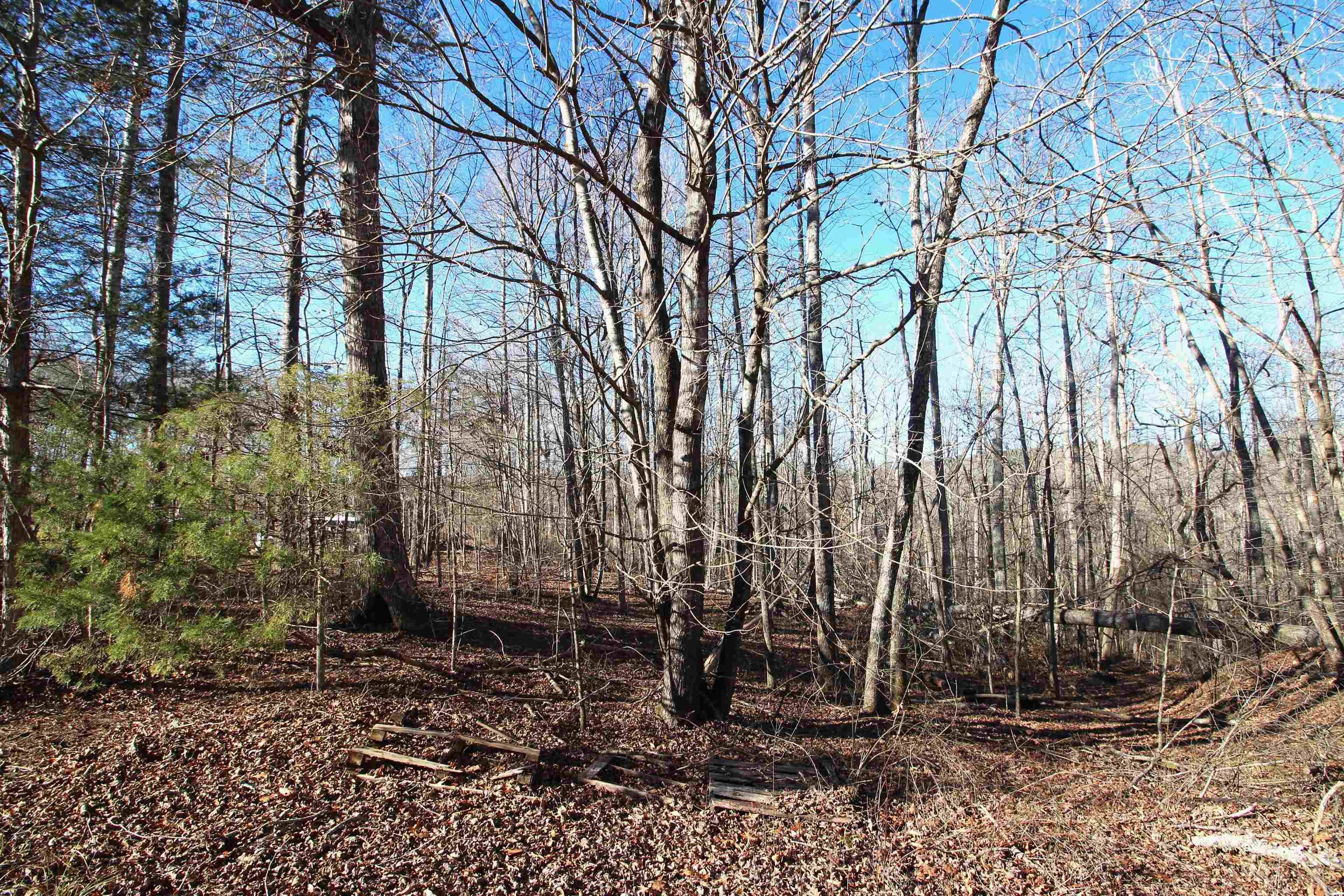 1559 Country Estates Road Inman, SC 29349 - Photo 4 of 6