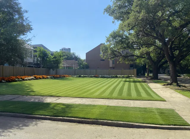 a view of swimming pool