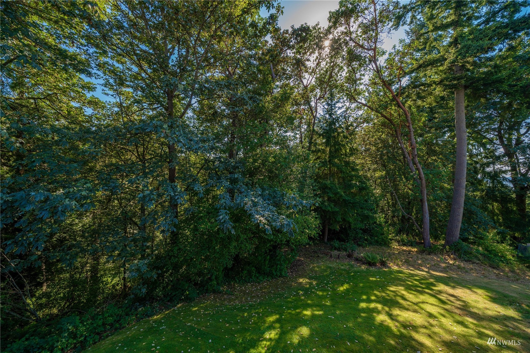 30807 26th Avenue Southwest Federal Way, WA 98023 - Photo 38 of 40 a view of a trees