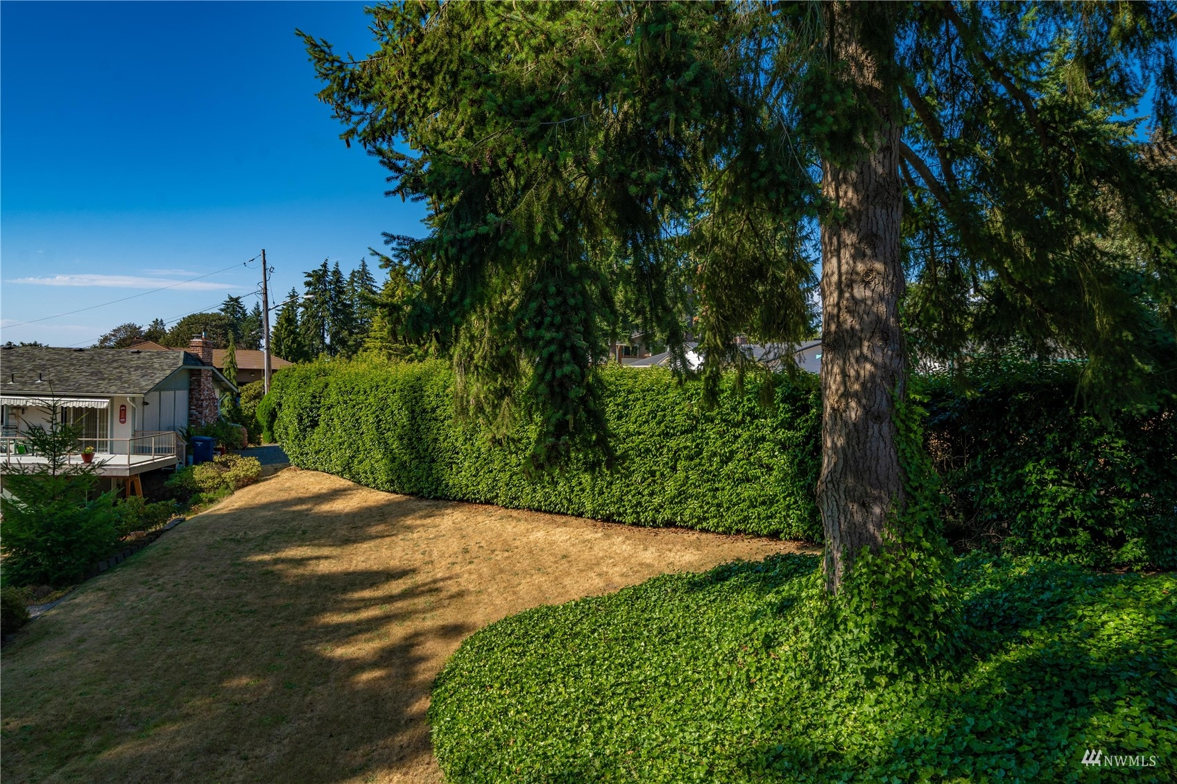 30807 26th Avenue Southwest Federal Way, WA 98023 - Photo 39 of 40 a view of a backyard
