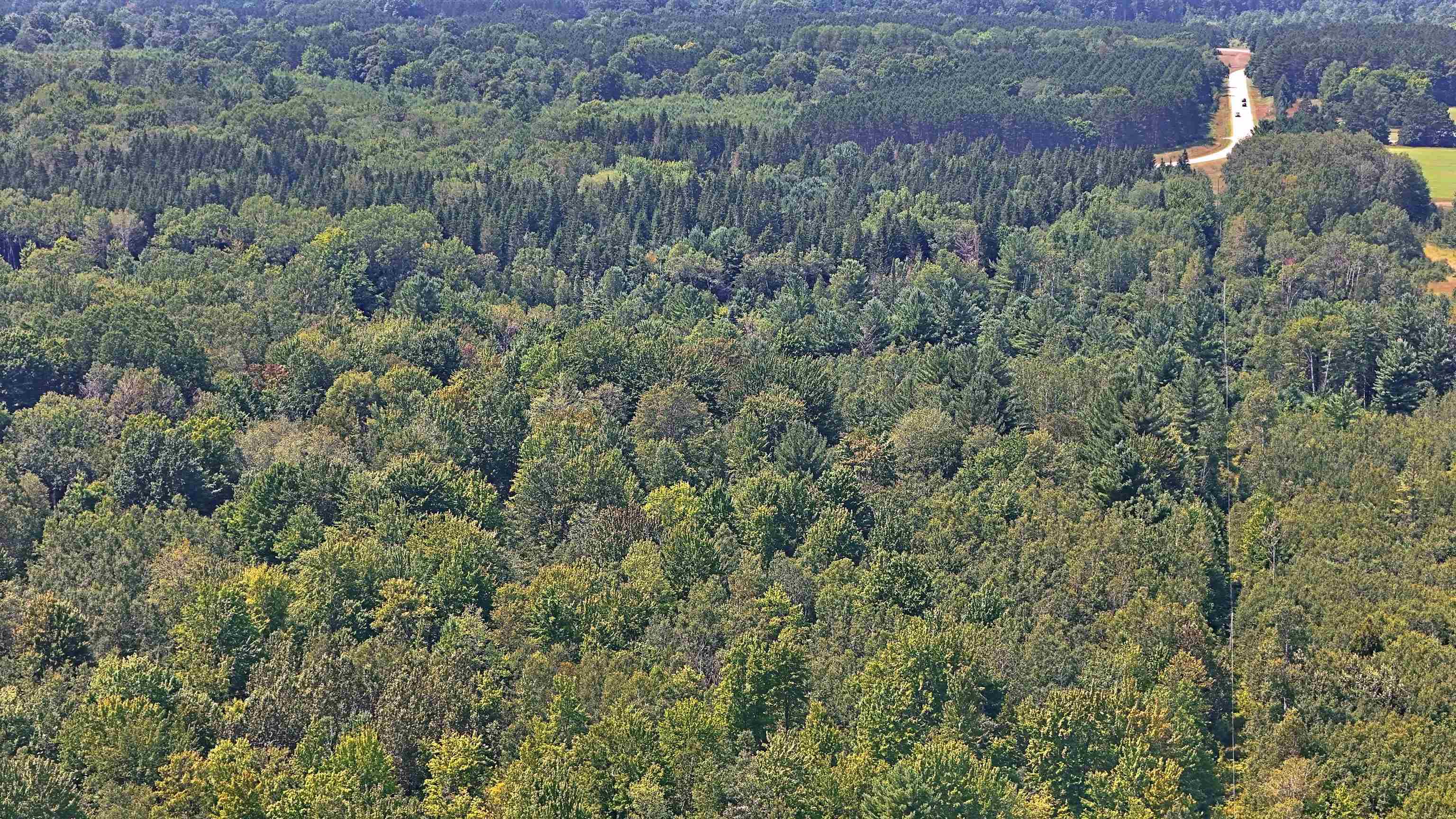 V/l North No 31 Road Manton, MI 49663 - Photo 10 of 14