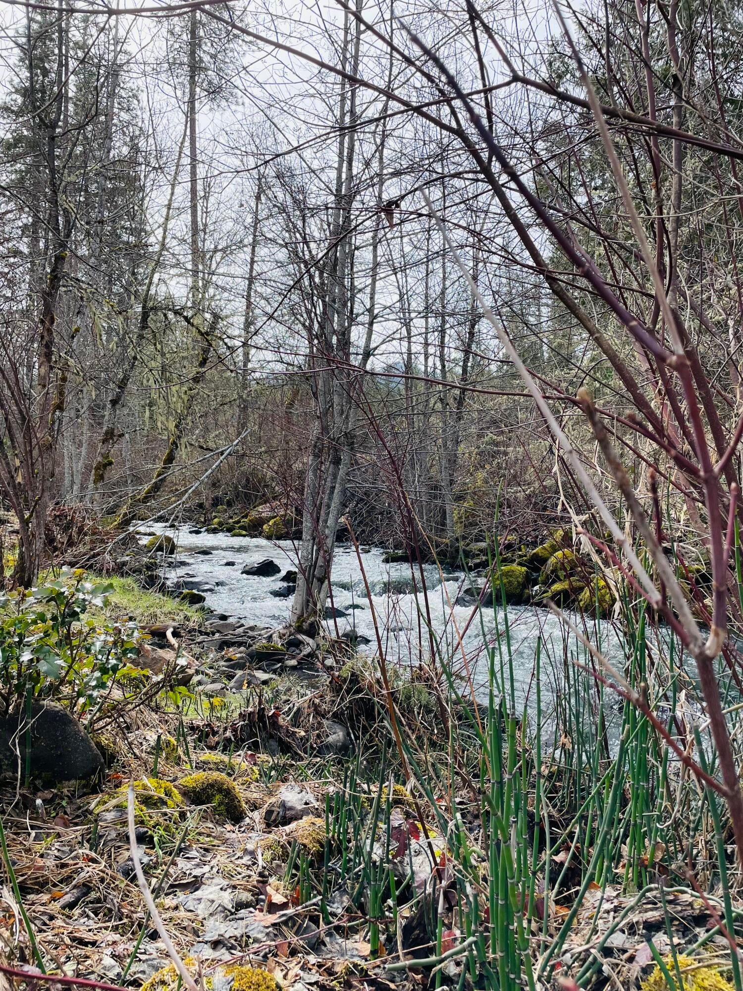 15000 Elk Creek Road Trail, OR 97541 - Photo 44 of 48 6E0F4B2C-FC85-4F50-A95E-4191F2B5DE2C