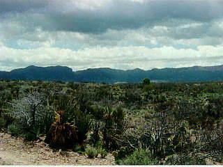 950 North Davidson Road Vail, AZ 85641 - Photo 3 of 3