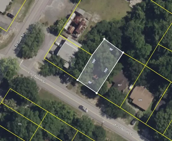 $169,999 | 305 East 1st N Street, Summerville, SC 29483