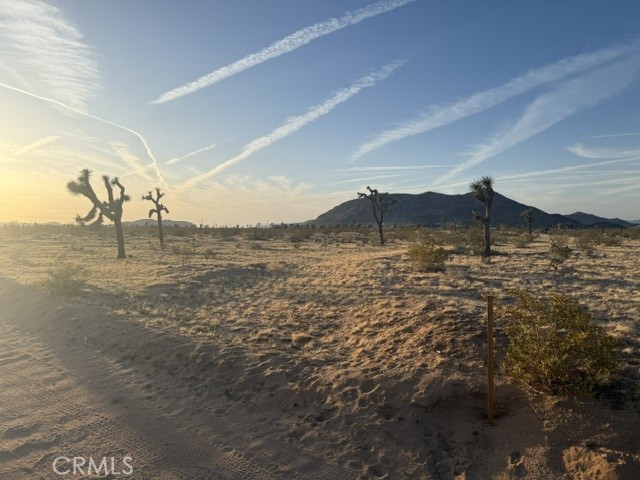 59860 Stearman Road Landers, CA 92285 - Photo 2 of 4 a view of ocean view