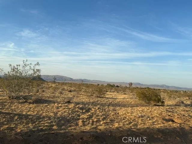 a view of ocean view with large trees