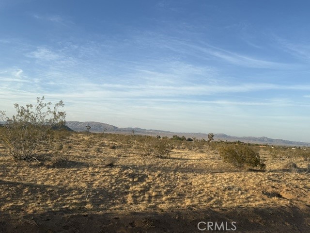 59860 Stearman Road Landers, CA 92285 - Photo 3 of 4 a view of ocean view with large trees