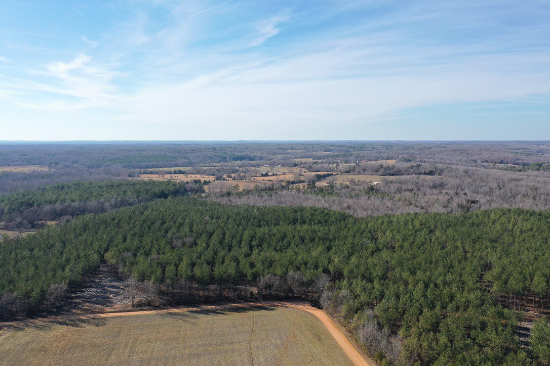 0 Doe Road Saltillo, TN 38370 - Photo 11 of 28