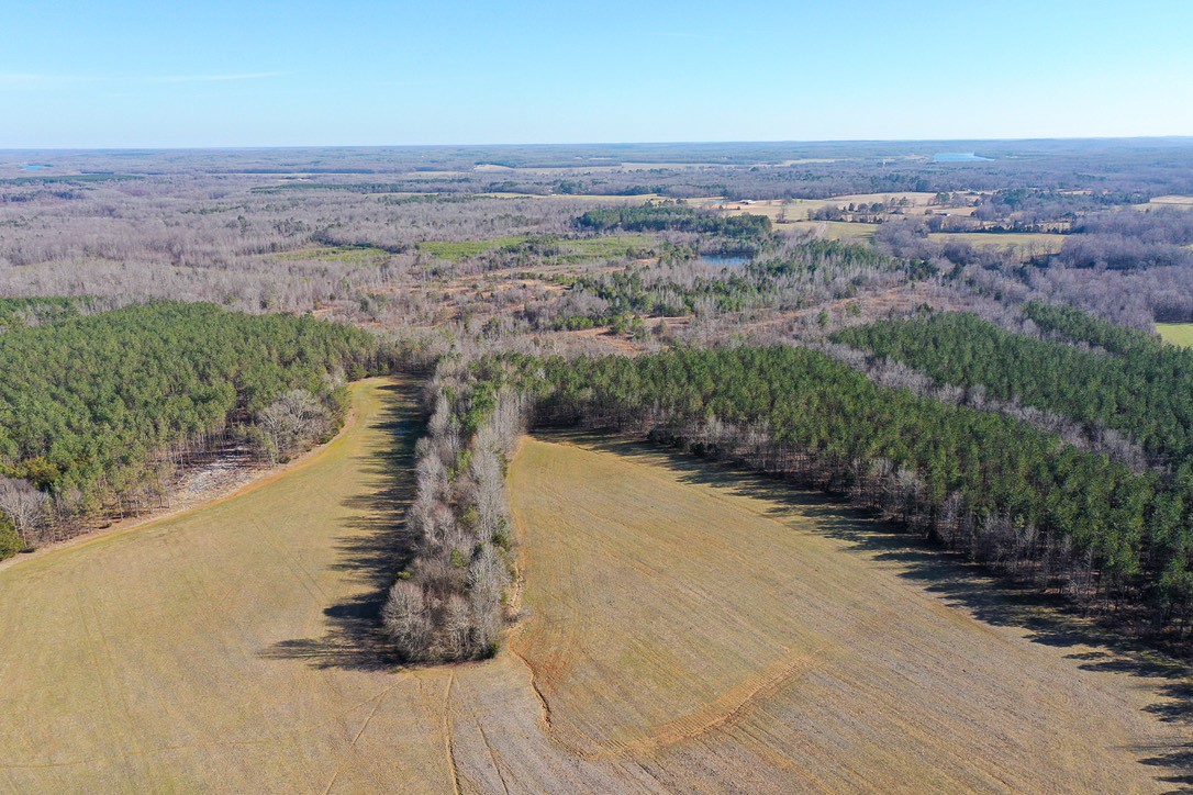 0 Doe Road Saltillo, TN 38370 - Photo 12 of 28