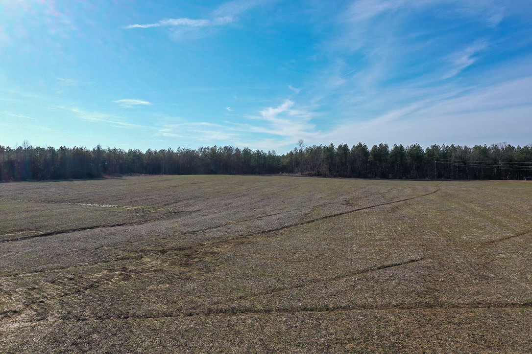 0 Doe Road Saltillo, TN 38370 - Photo 13 of 28