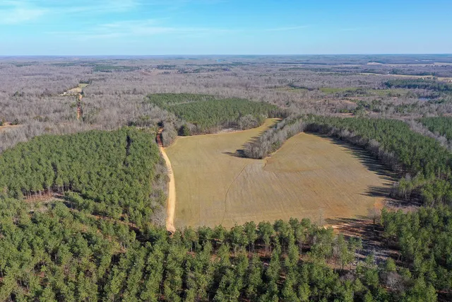 $824,999 | 0 Doe Road, Saltillo, TN 38370