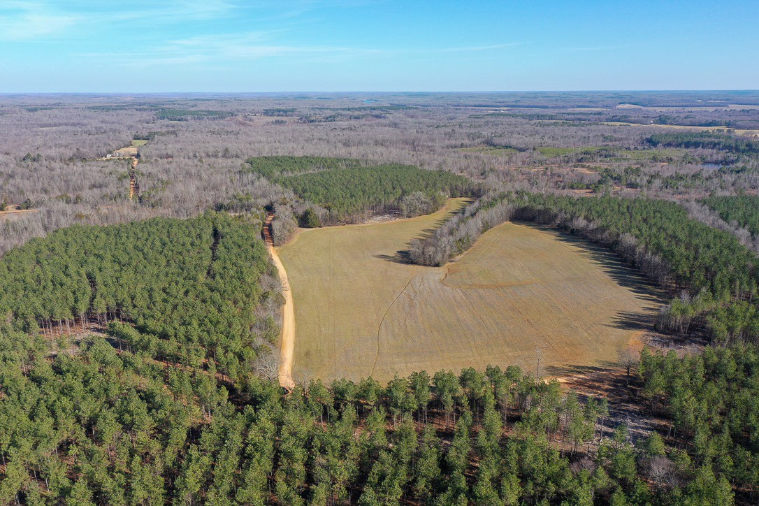 0 Doe Road Saltillo, TN 38370 - Photo 14 of 28