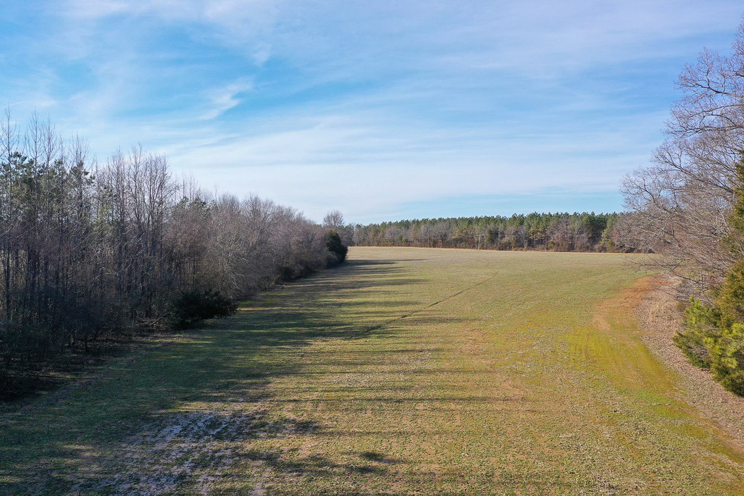 0 Doe Road Saltillo, TN 38370 - Photo 16 of 28