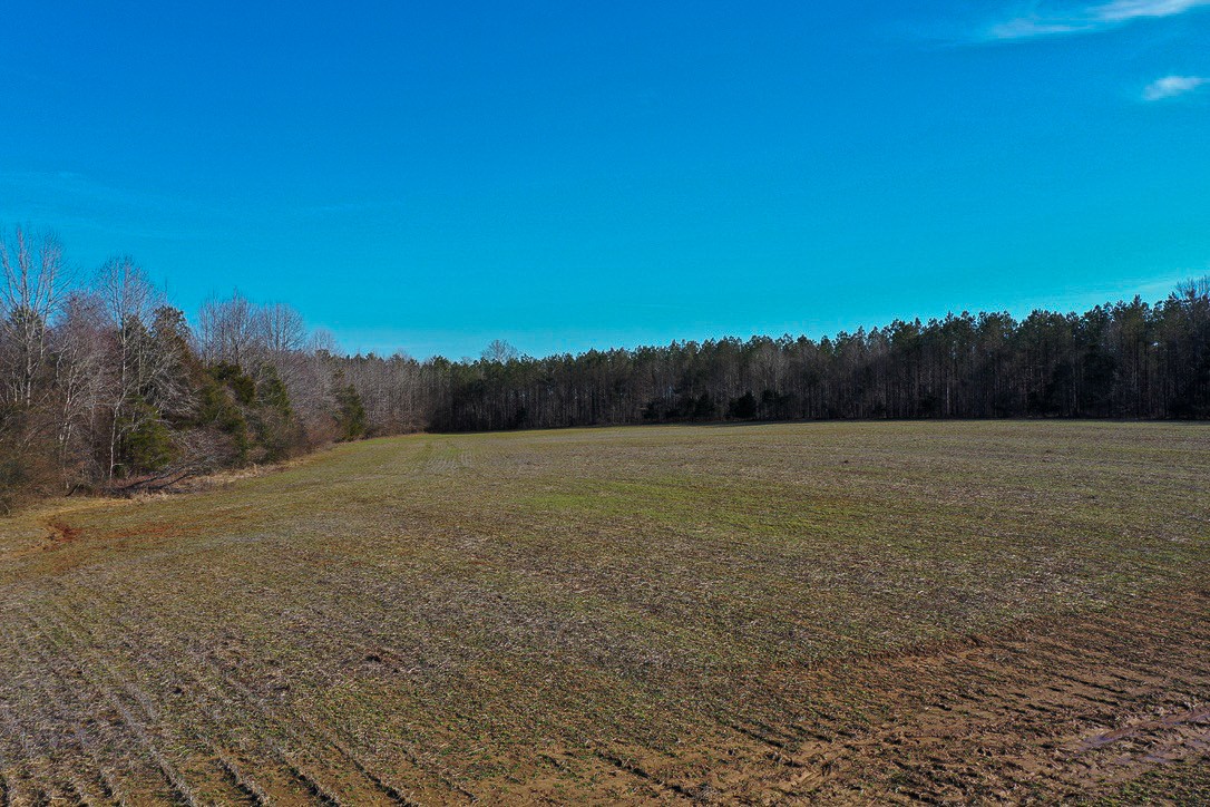 0 Doe Road Saltillo, TN 38370 - Photo 17 of 28