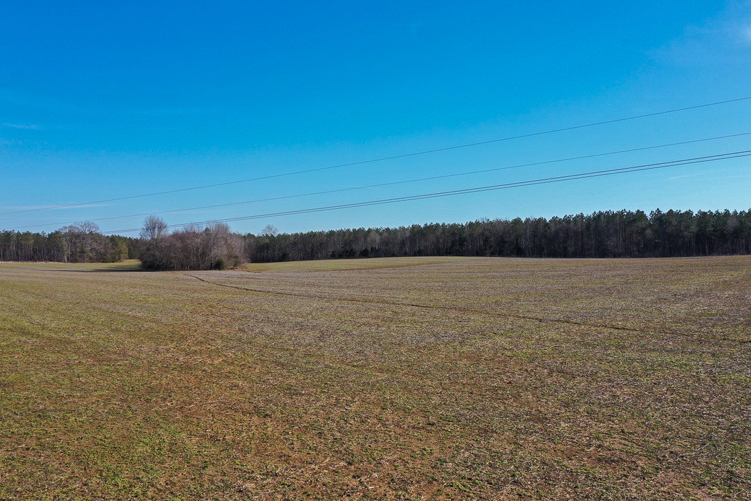 0 Doe Road Saltillo, TN 38370 - Photo 2 of 28