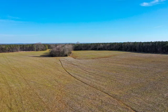 $824,999 | 0 Doe Road, Saltillo, TN 38370