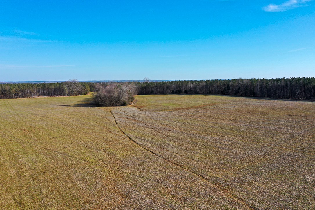 0 Doe Road Saltillo, TN 38370 - Photo 21 of 28