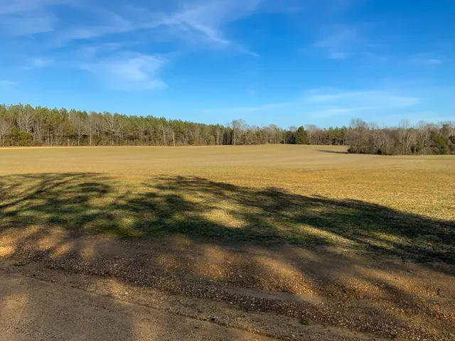 $824,999 | 0 Doe Road, Saltillo, TN 38370